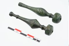 Foto von Bronzenadelspitzenschoner (NHMW-PRAE-025394)